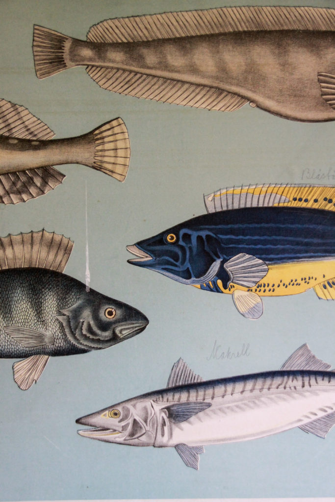 IMG_0230-683x1024,Vindafjord