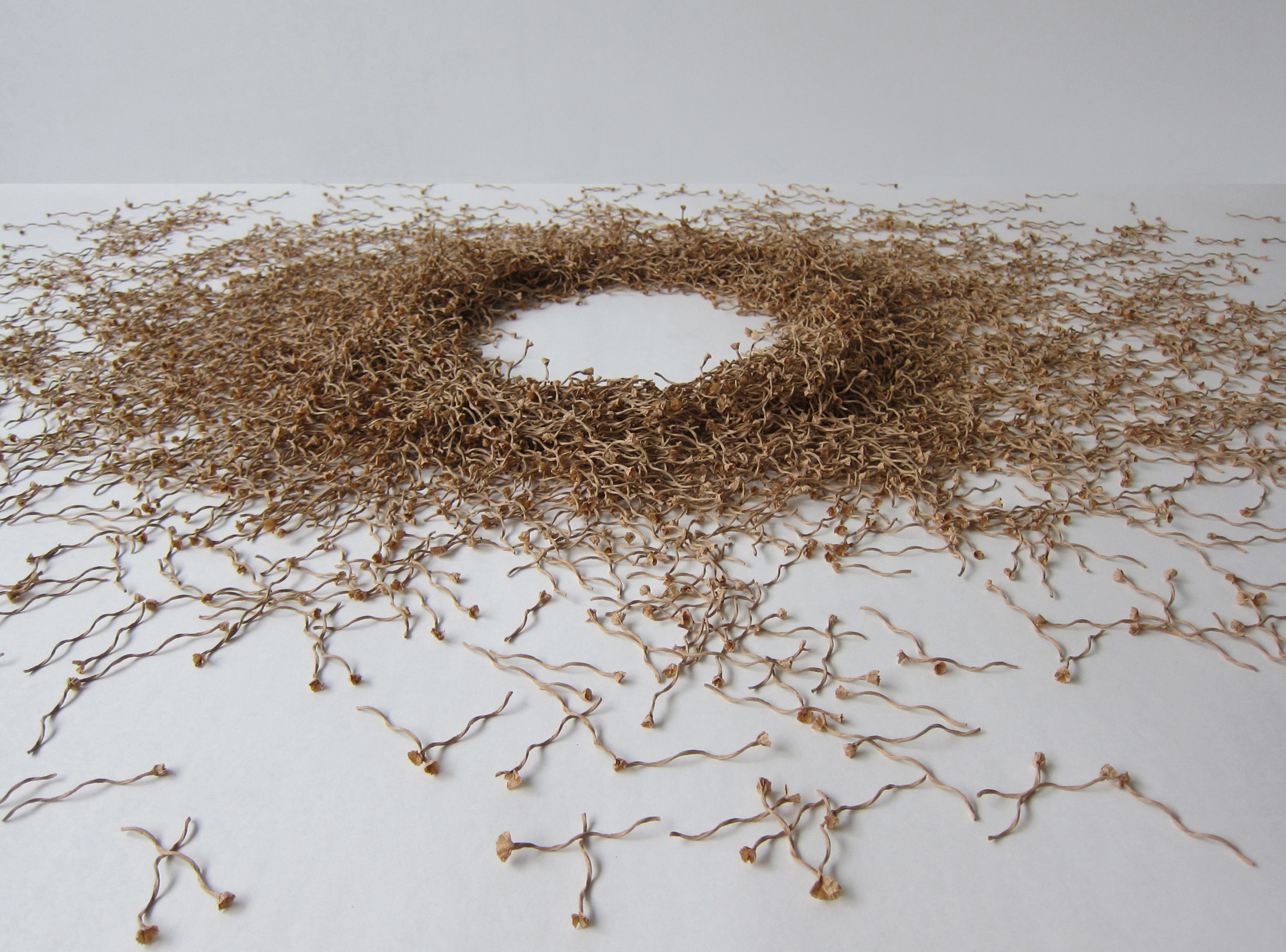 Absent_installasjon_papir_Danuta Haremska