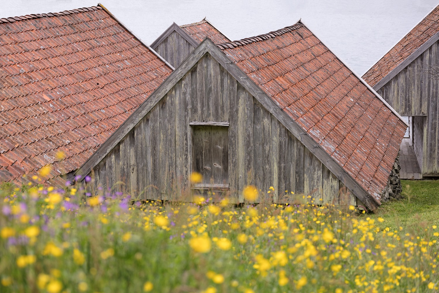Foto: Haugalandmuseet/Ana Goncalves