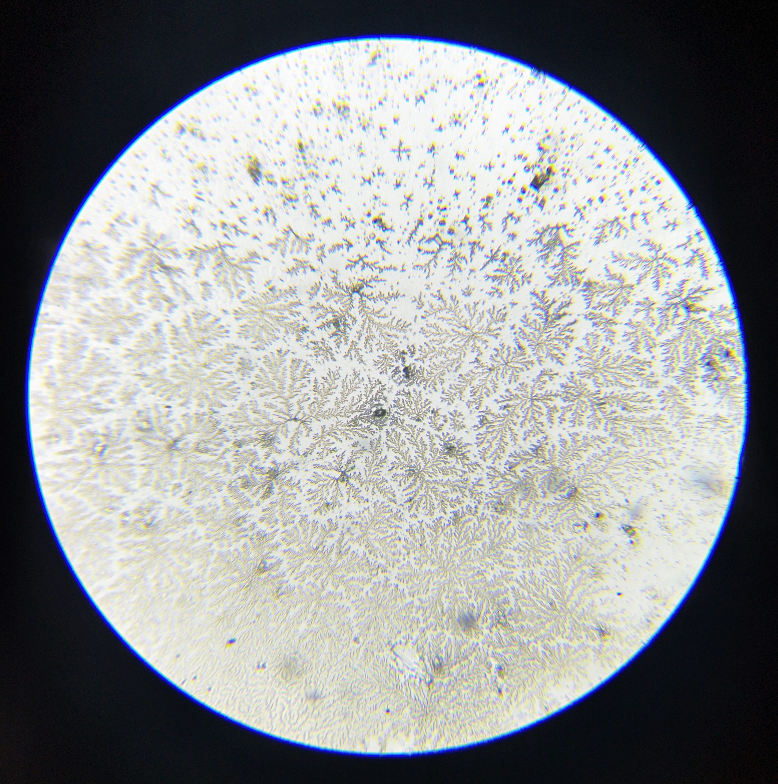 Stacy Brafield - spending time with tears photo stacy brafield 2022