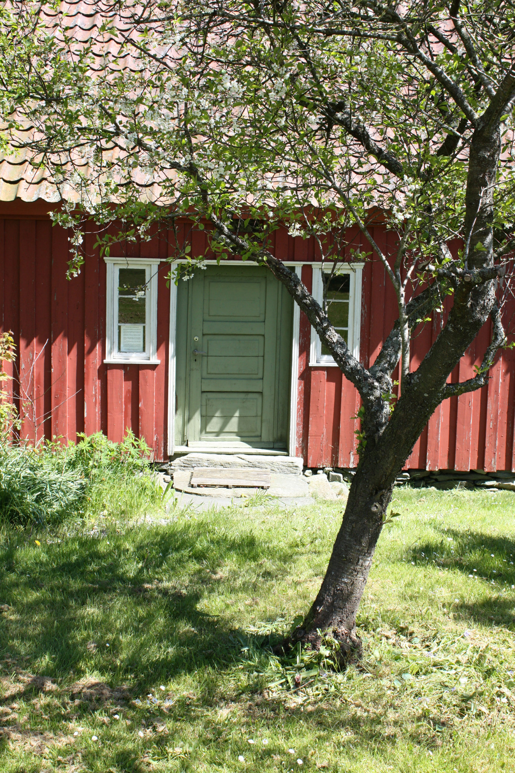 Inngangsdør, vegg vest. Hage