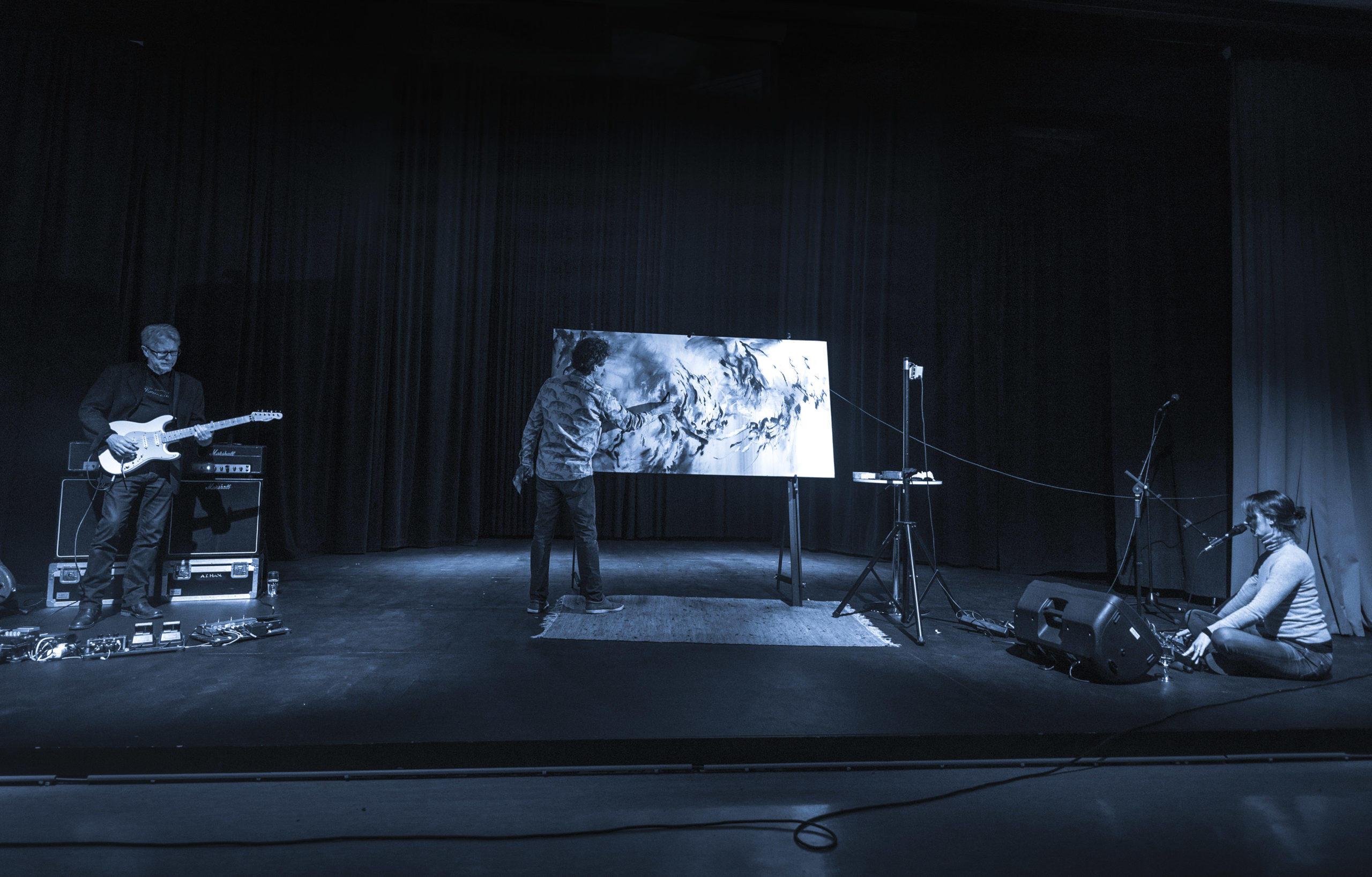 Sono Flux blå_komp