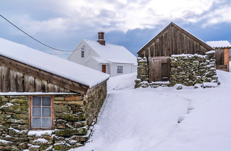 137341695_3948070995255333_8867671796218645377_n