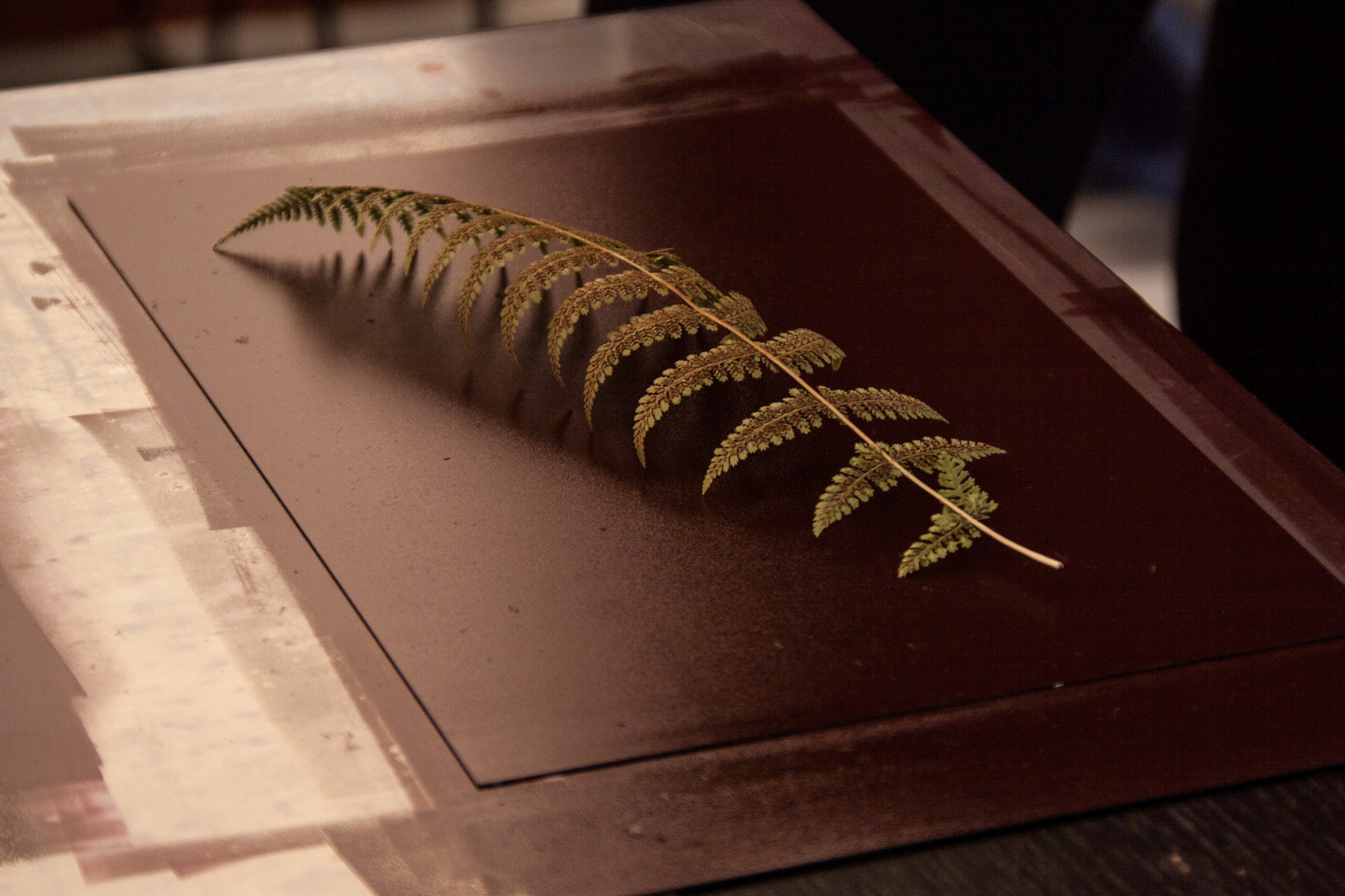 Barneaktiviteter på HAugesund Billedgalleri