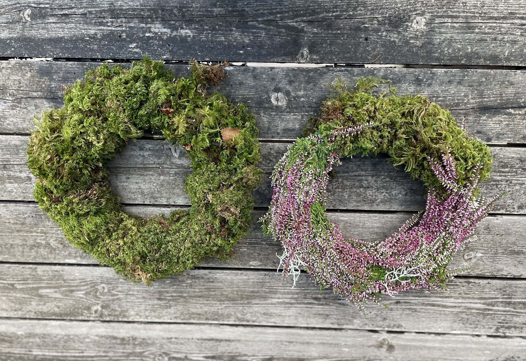 387768729_797592102375400_6853942103194820011_n