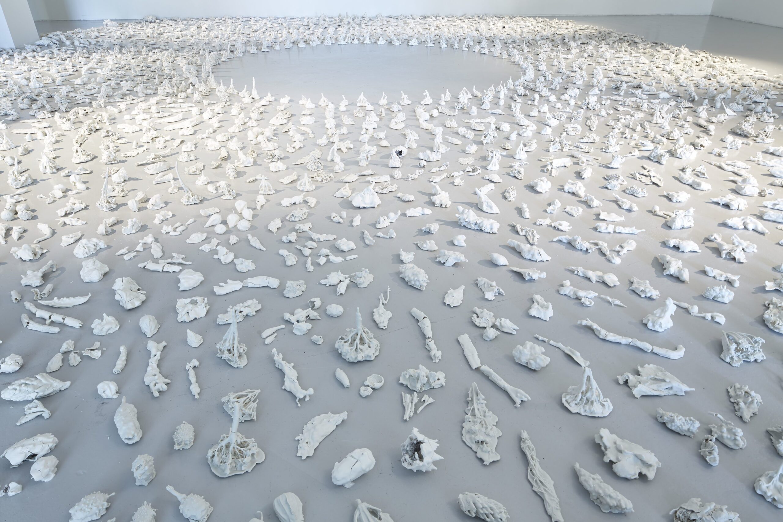 Still Life Visningsrommet-kopi