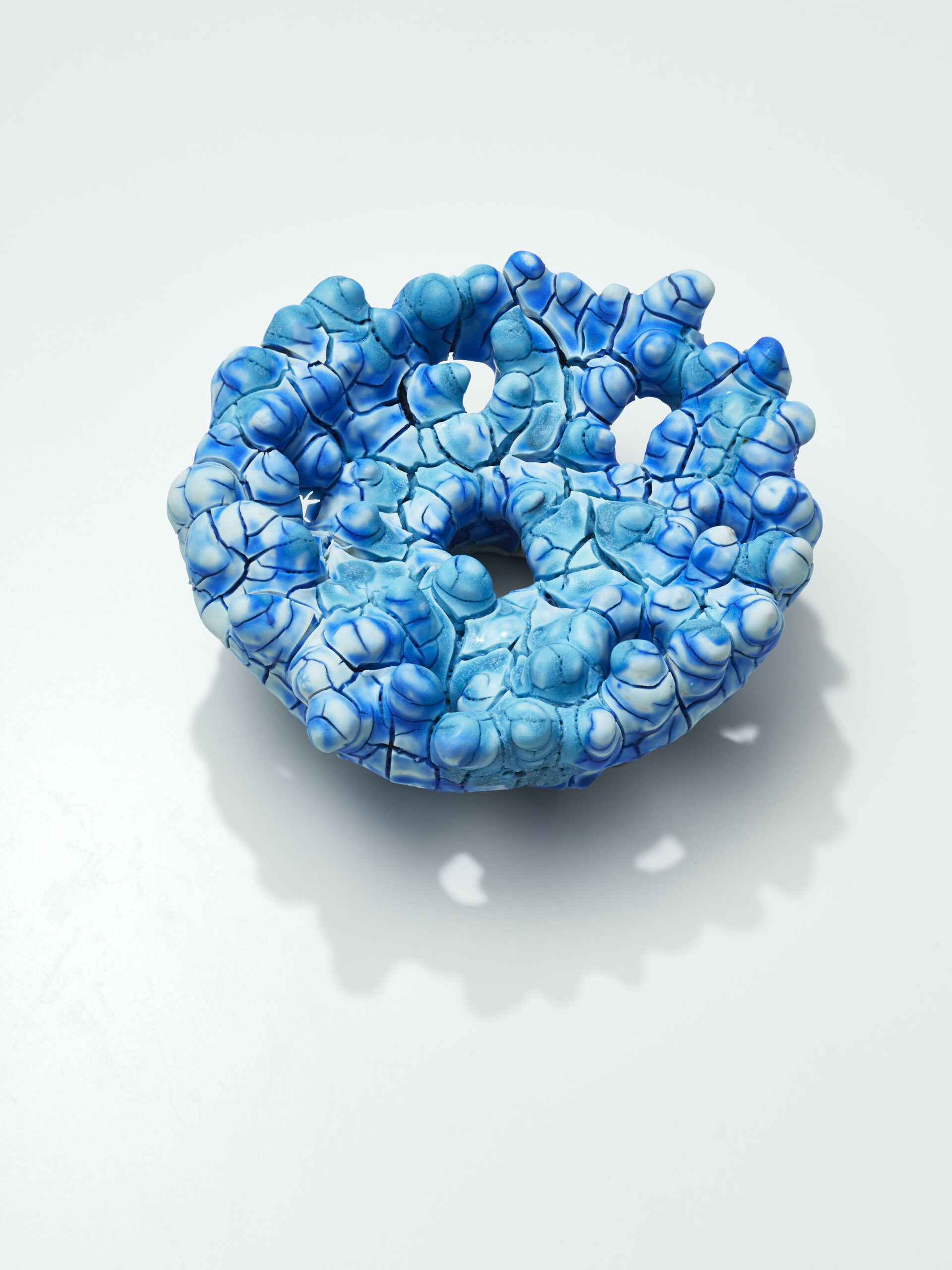 Trofé blå – Kopi