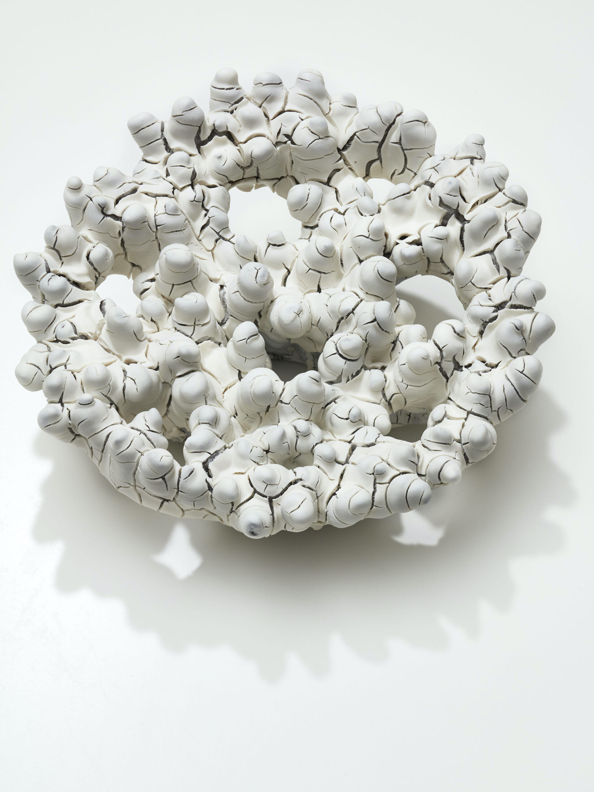 Trofé hvit – Kopi