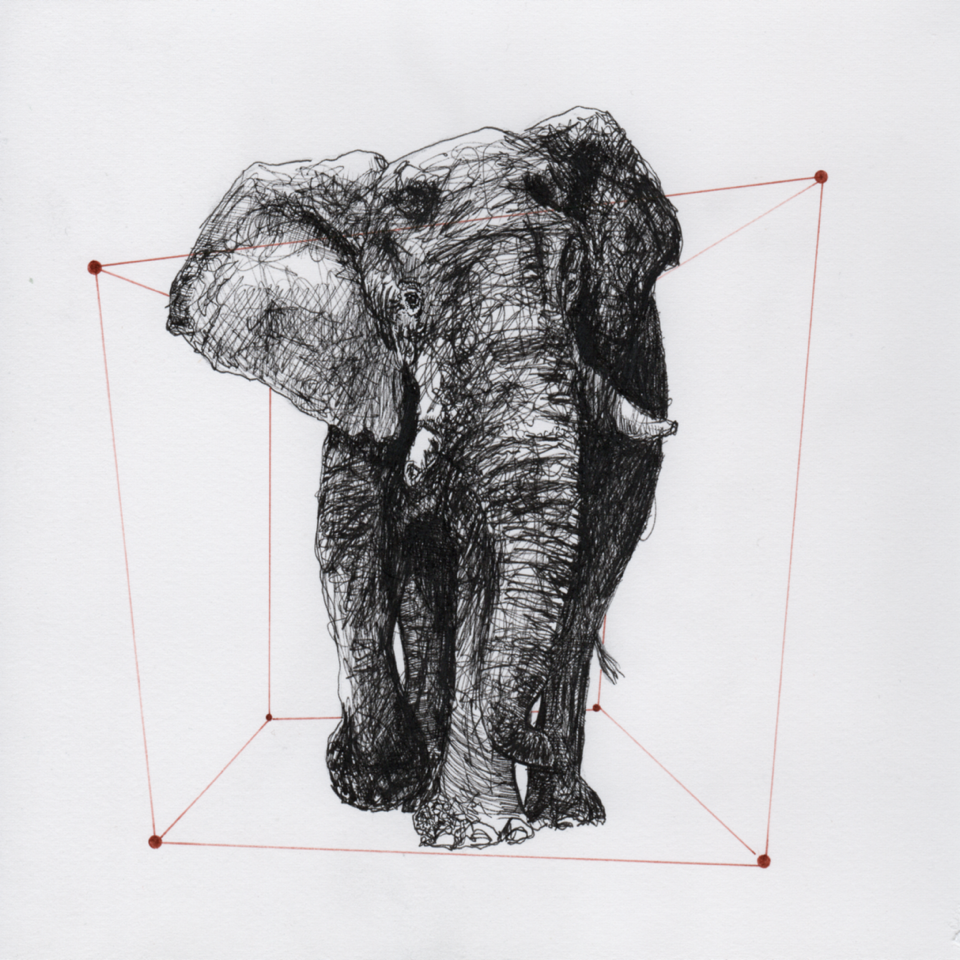 Elefanten_i_rommet 1