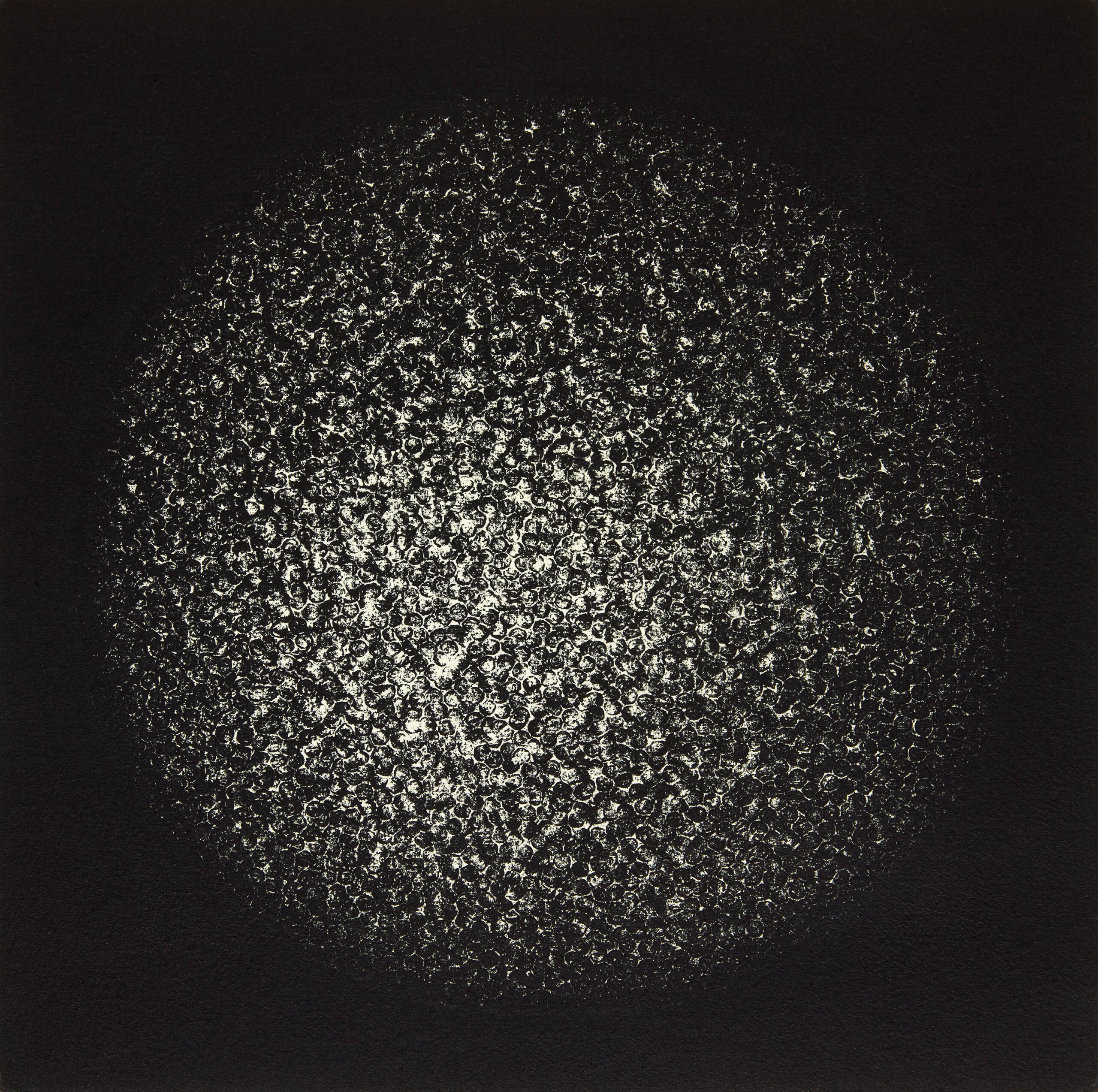 Seeds of Change 25x25