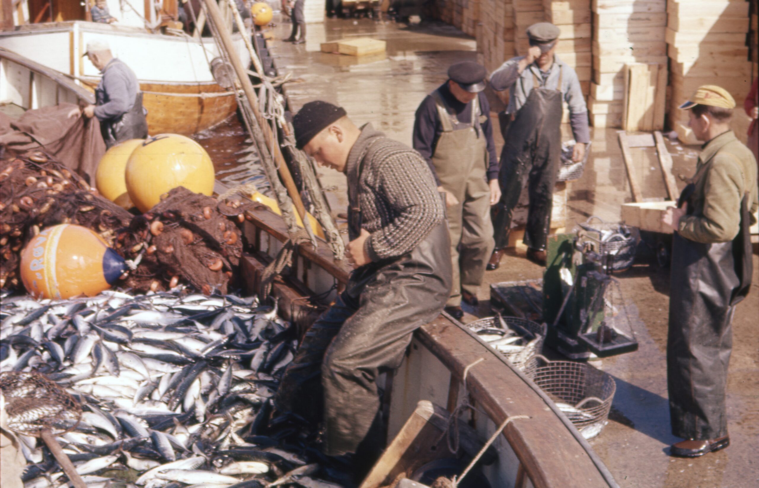 Makrellfiske 1961. Ishuskaien Røvær, MHB-F.014860-15