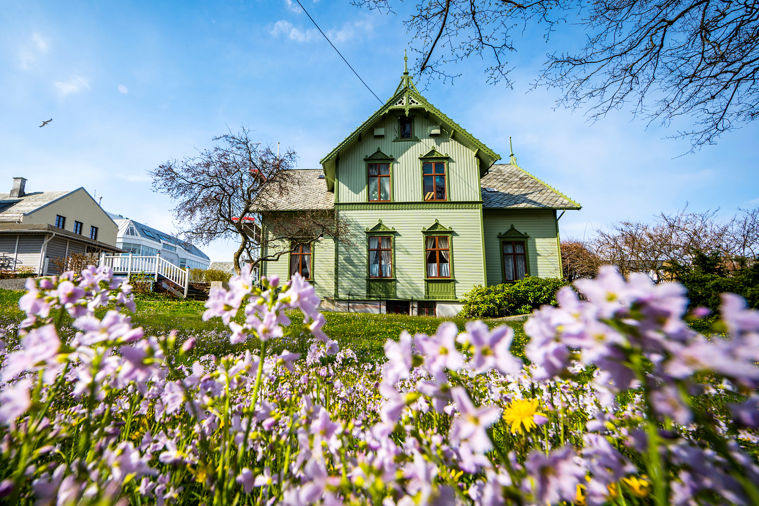 Hagen og Wrangellhuset, sett fra øst. Engkarsen blomstrer.