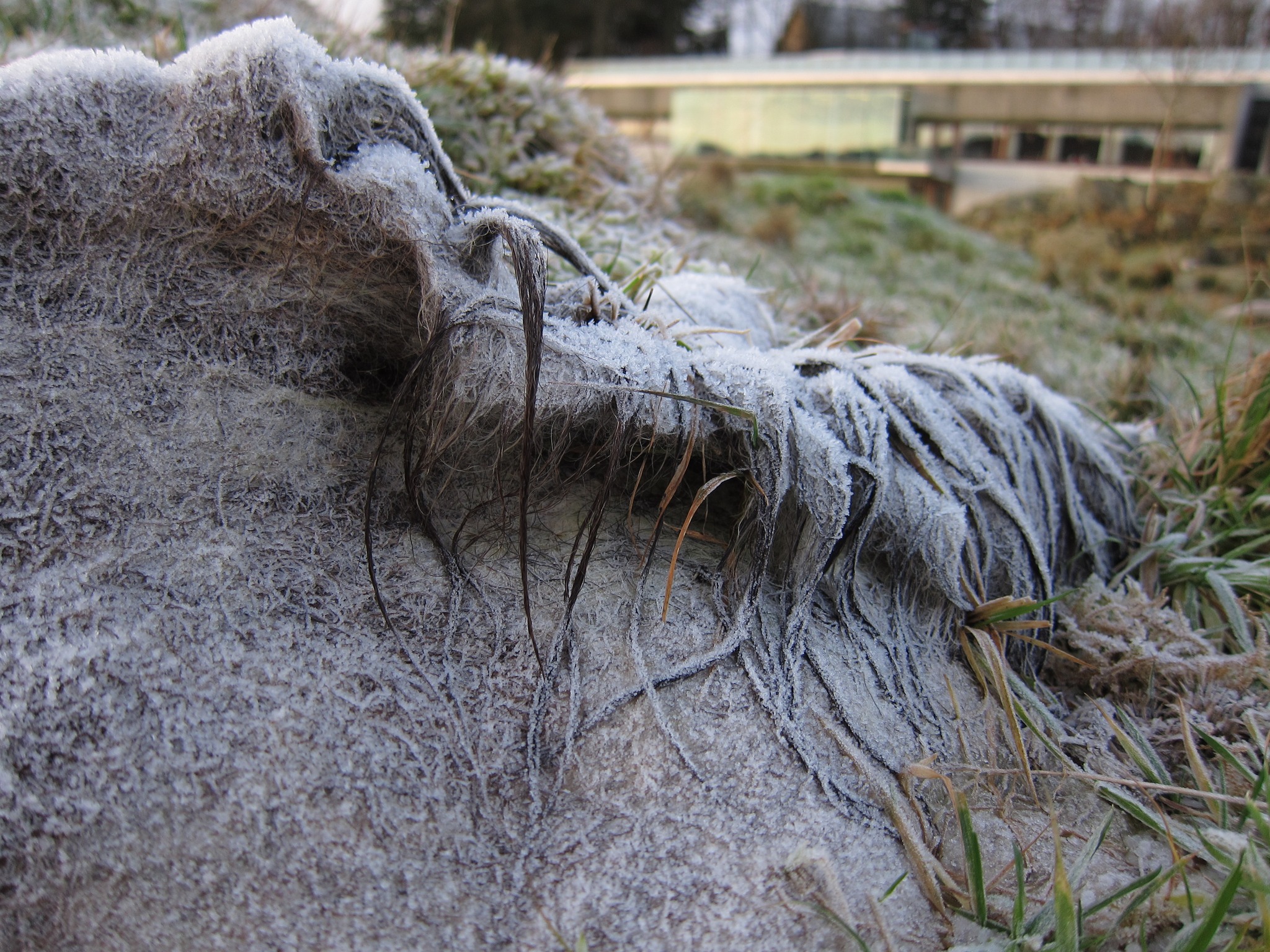 474622160_1121857613061779_3131840689397211078_n