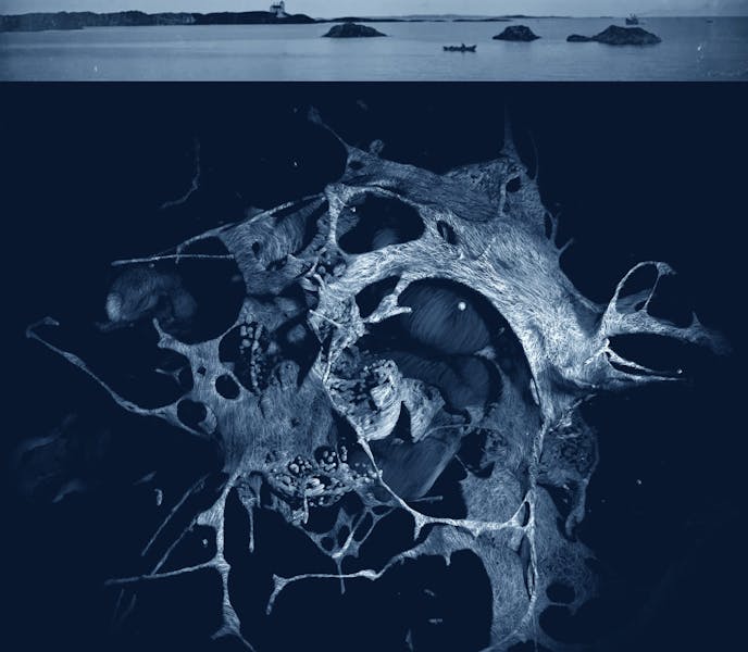 Utstilling | "Stille skog, ventende hav" av Njål Lunde