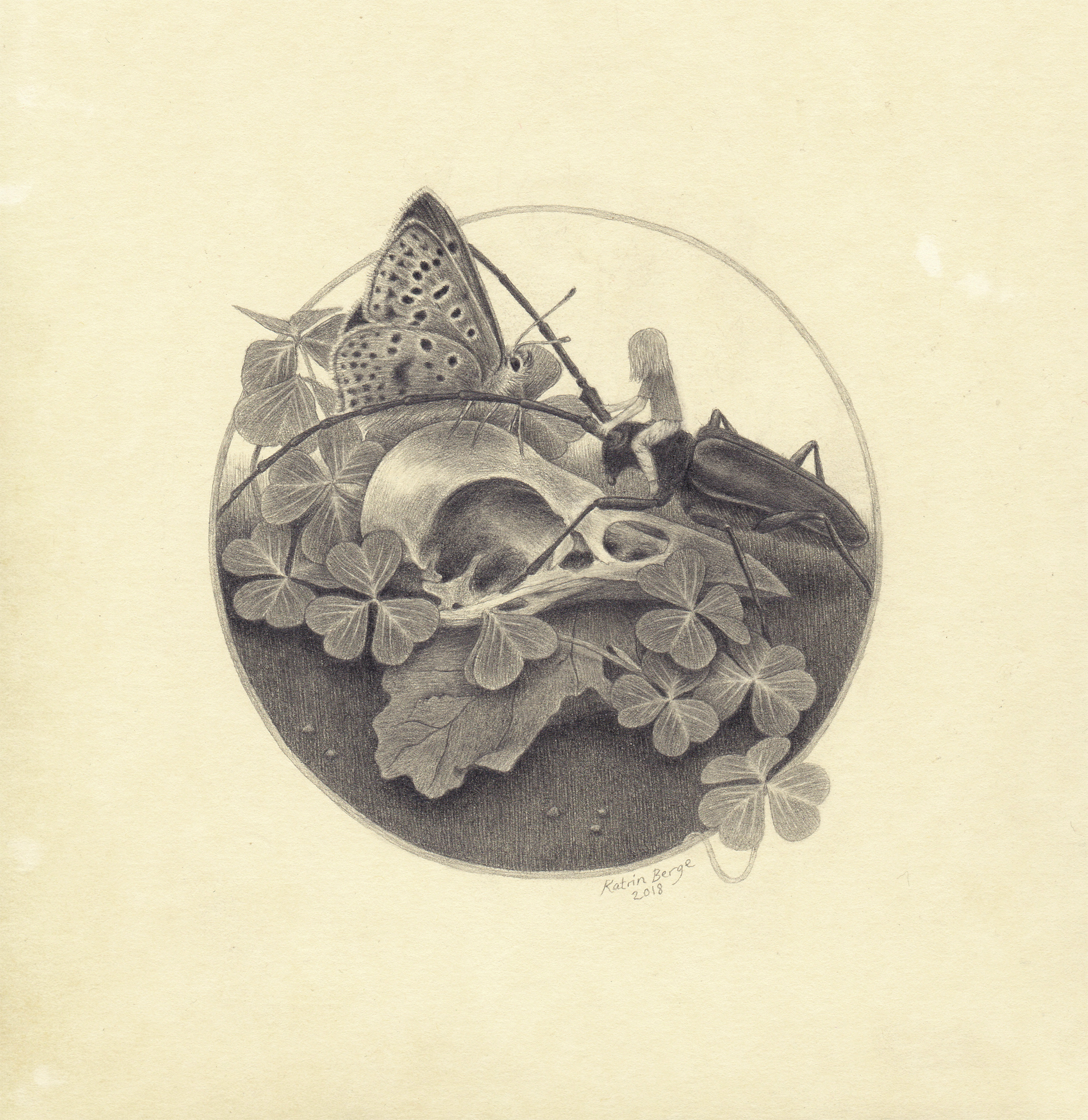 teikning2_KatrinBerge