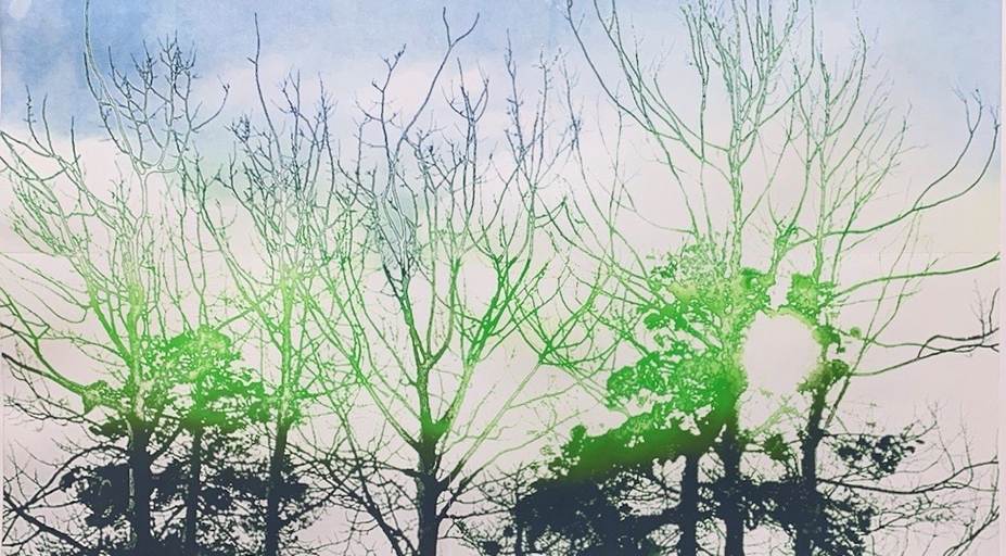 Sun gaze, 2019, Photopolymer + etching, Edition 5, 98 x 180cm